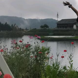 @柚子姐姐