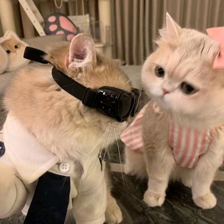 张逸逸~