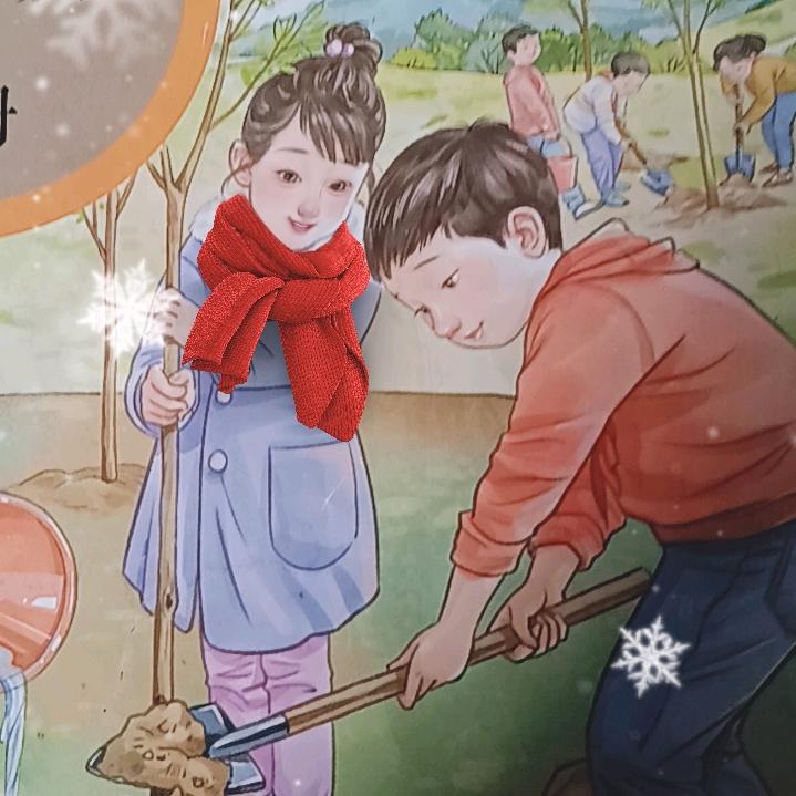 🌴我爱我家🎋