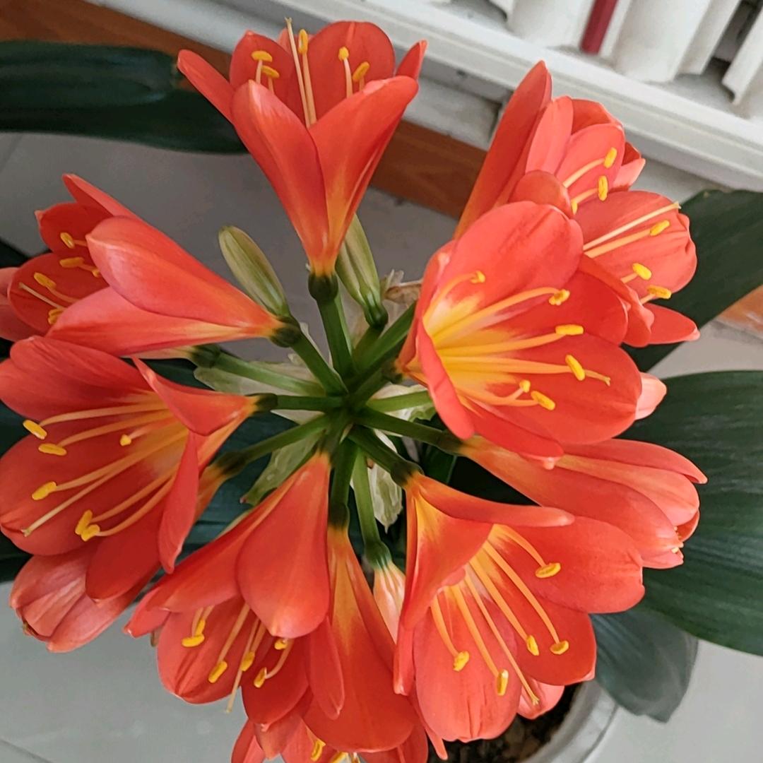 你永远也猜不到我是谁