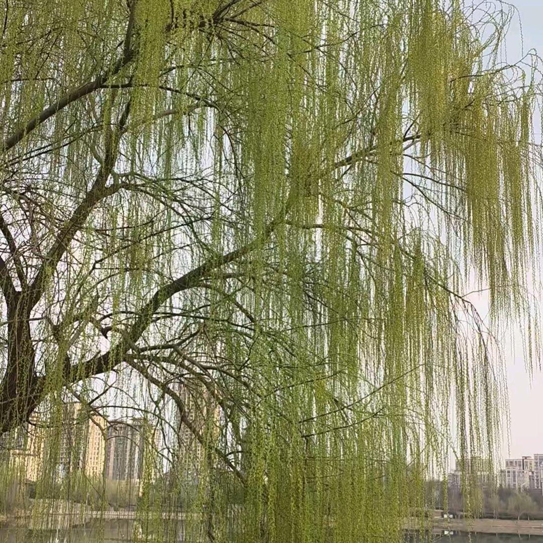 每益添