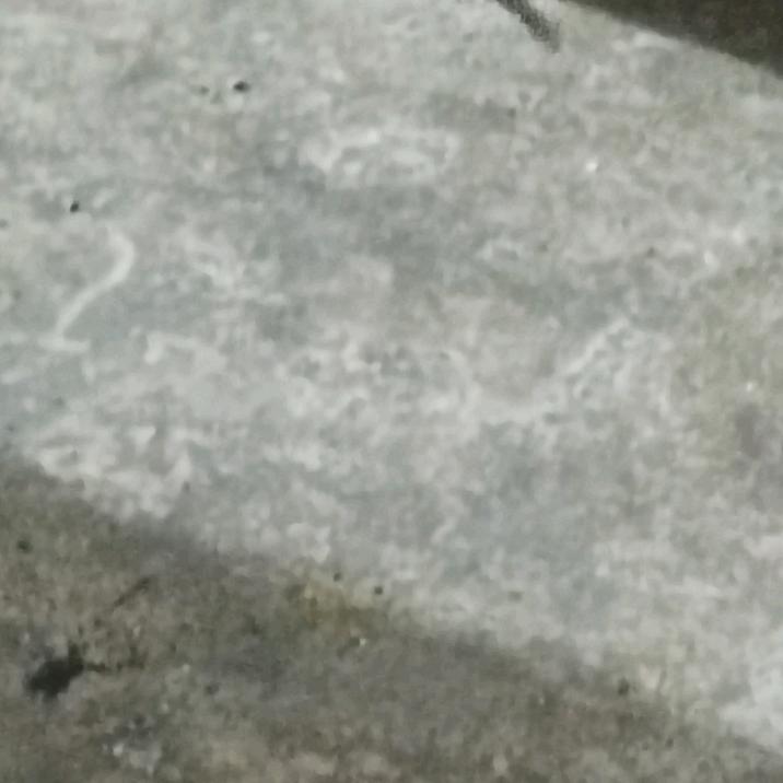 出来姐姐我爱你的好模仿巴拉拉