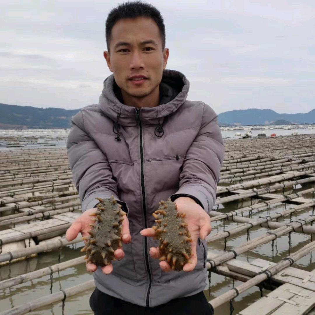 松渔坊极速送