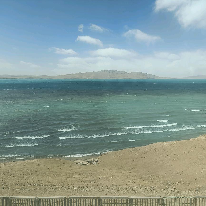 🥂两袖清风🐯