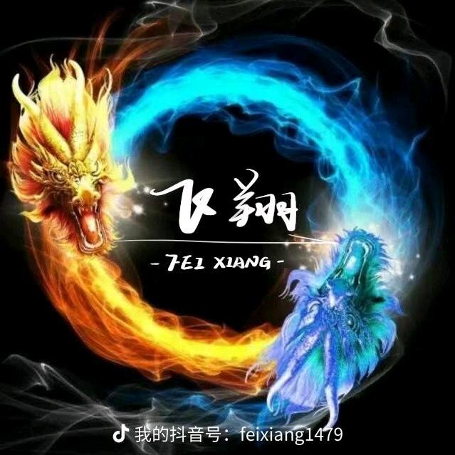 飞翔～