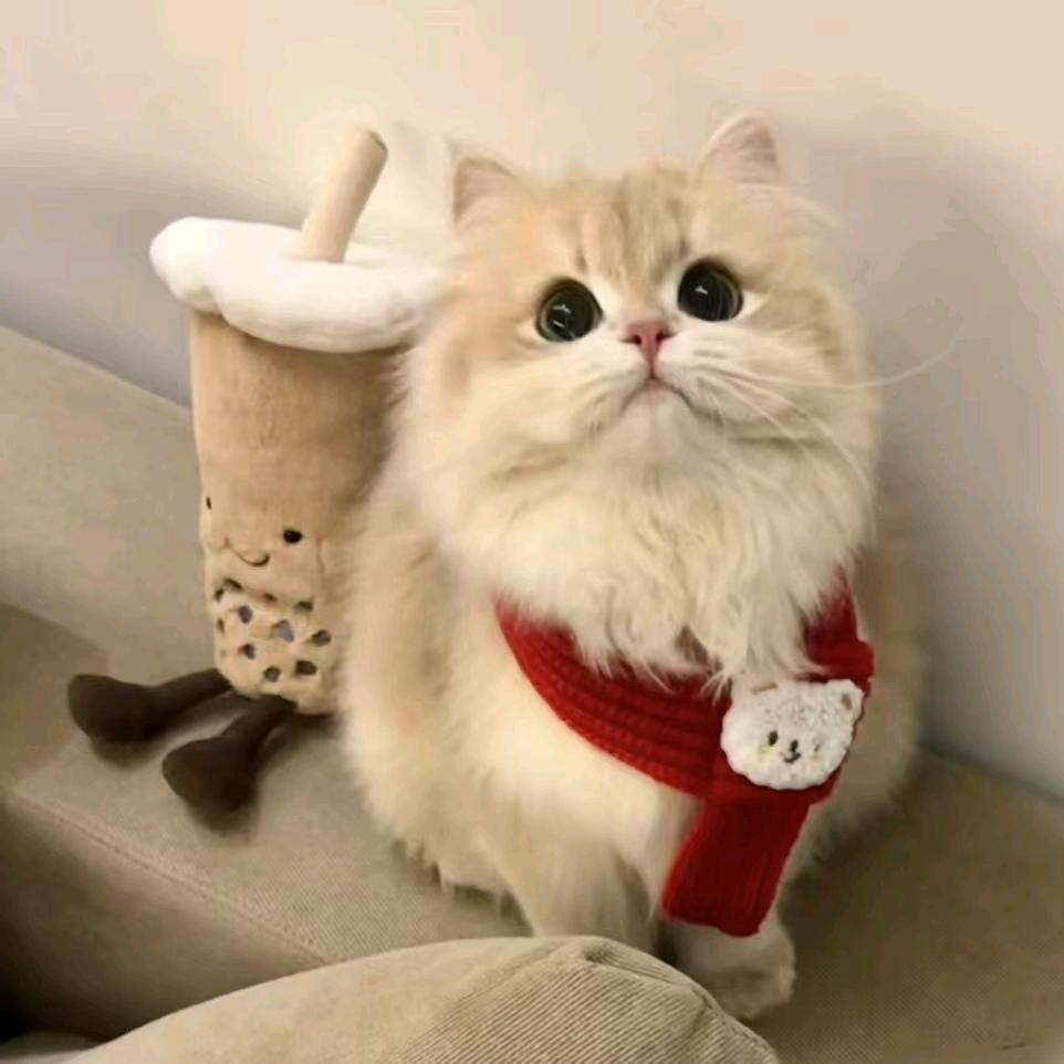 悟赖