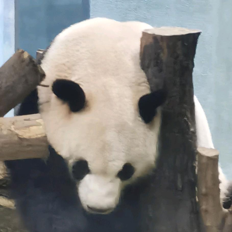 旺利