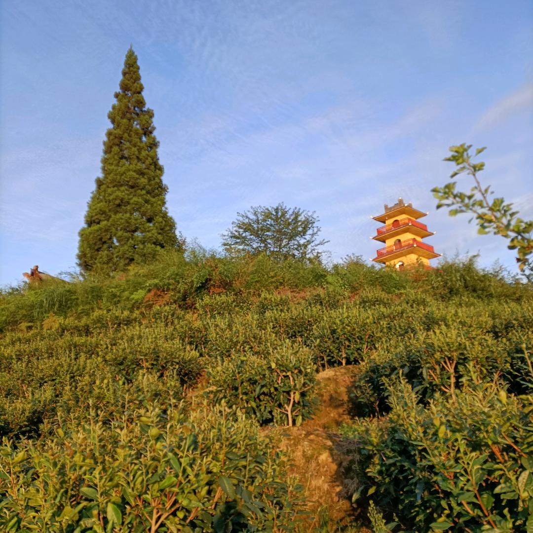叶幺哥