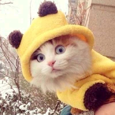 Yuuu_