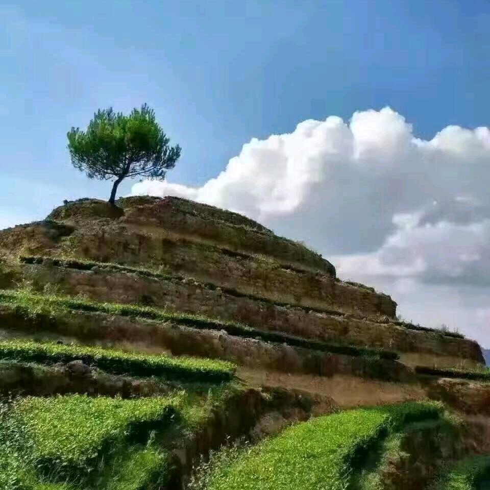闽南阿祥