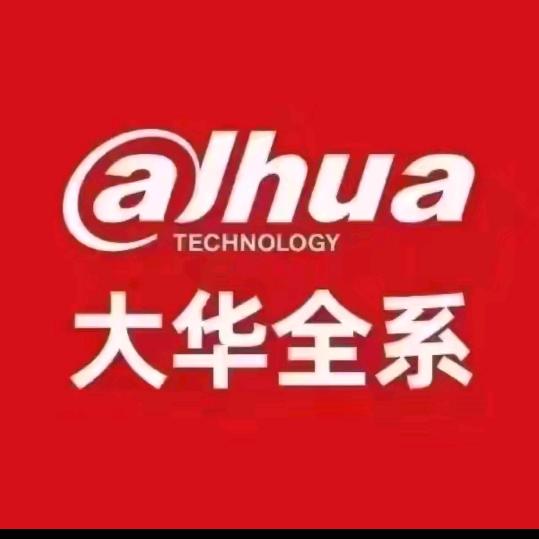 大华-西安轩辕安防