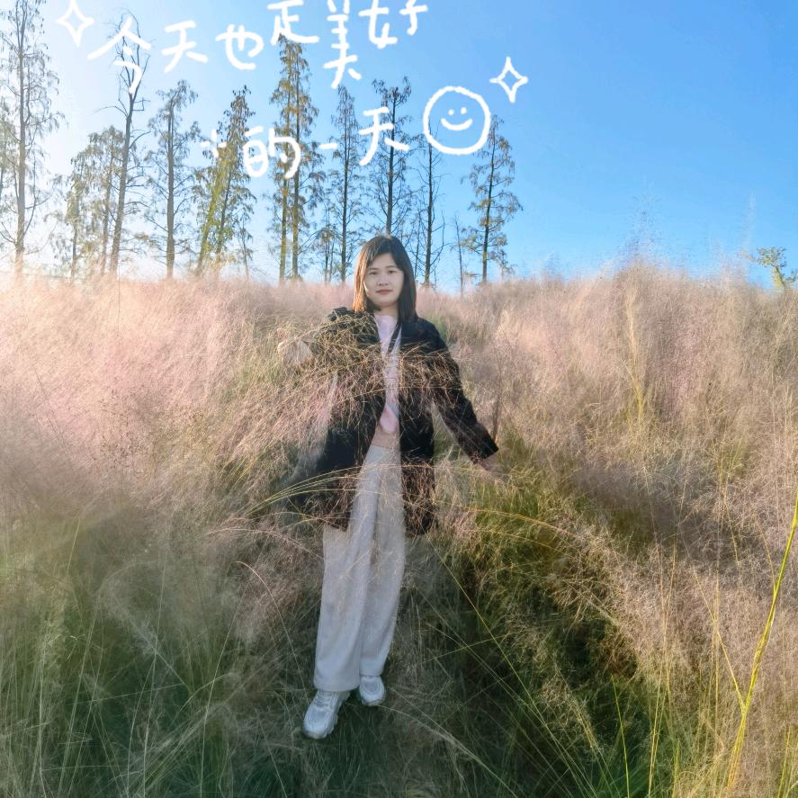 龙宝宝