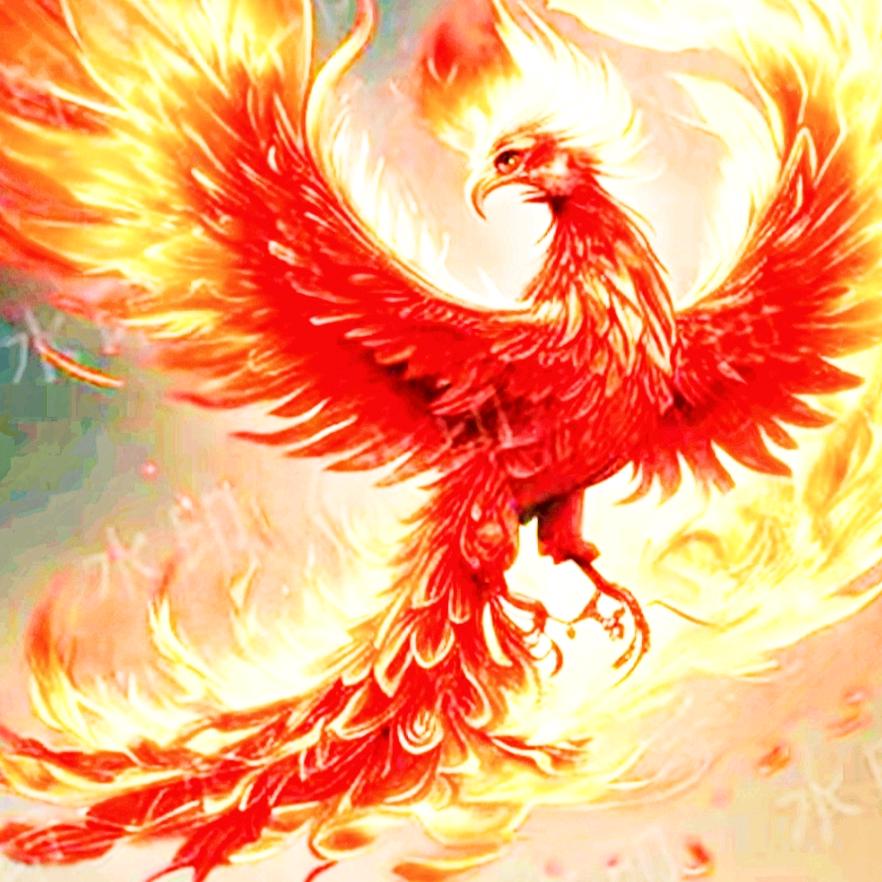 道严雨豪268新主播