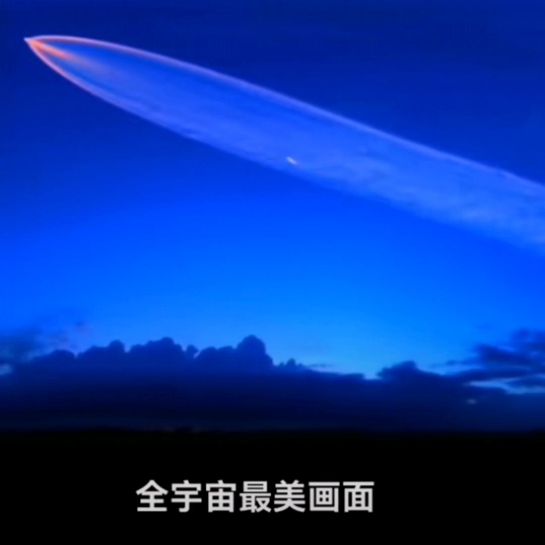 黑马过林