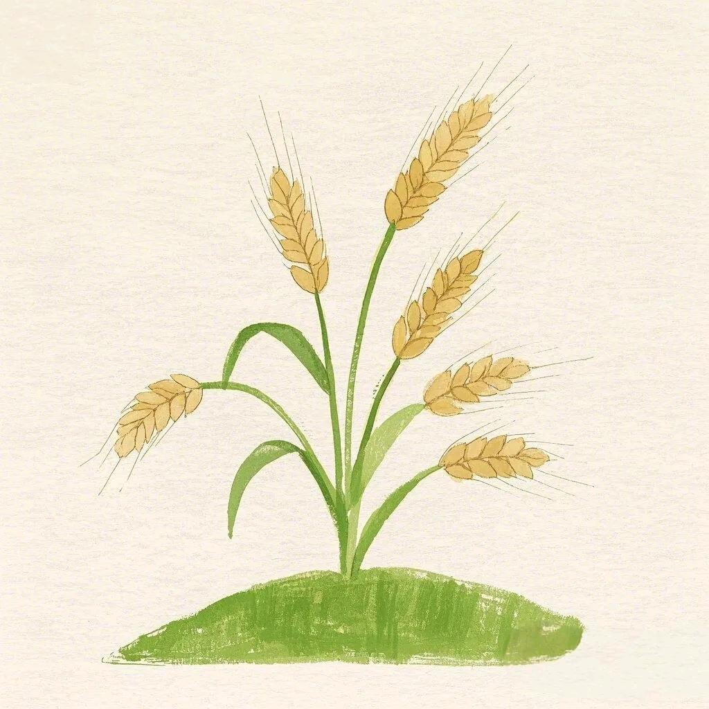 李好漂亮品质女装