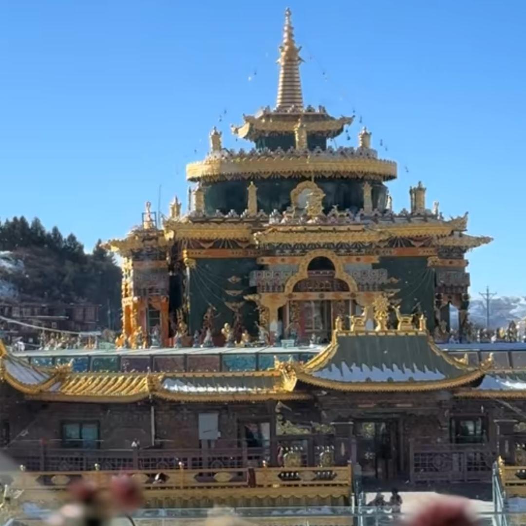 橘子！🍊🍊🍊🍊