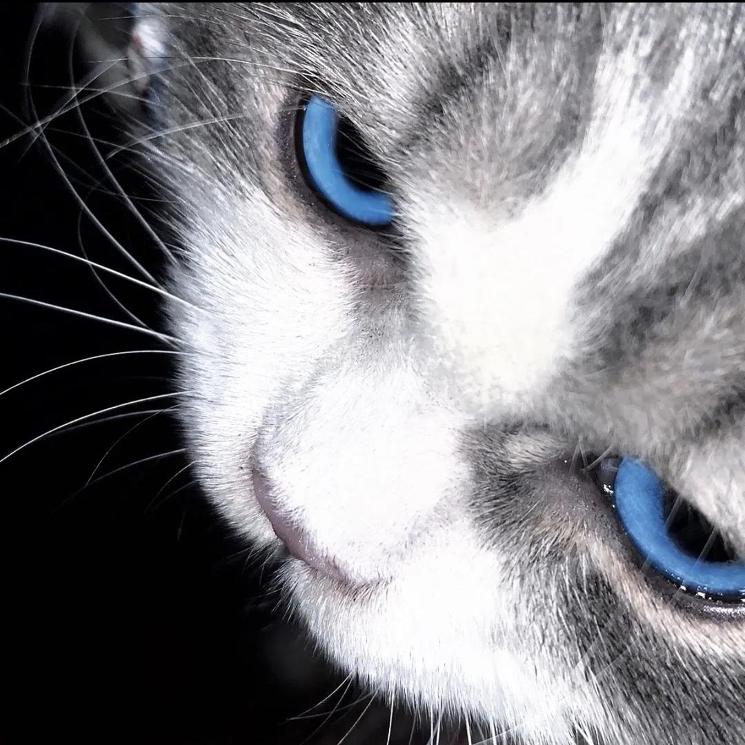 请叫我小雨🚴📷