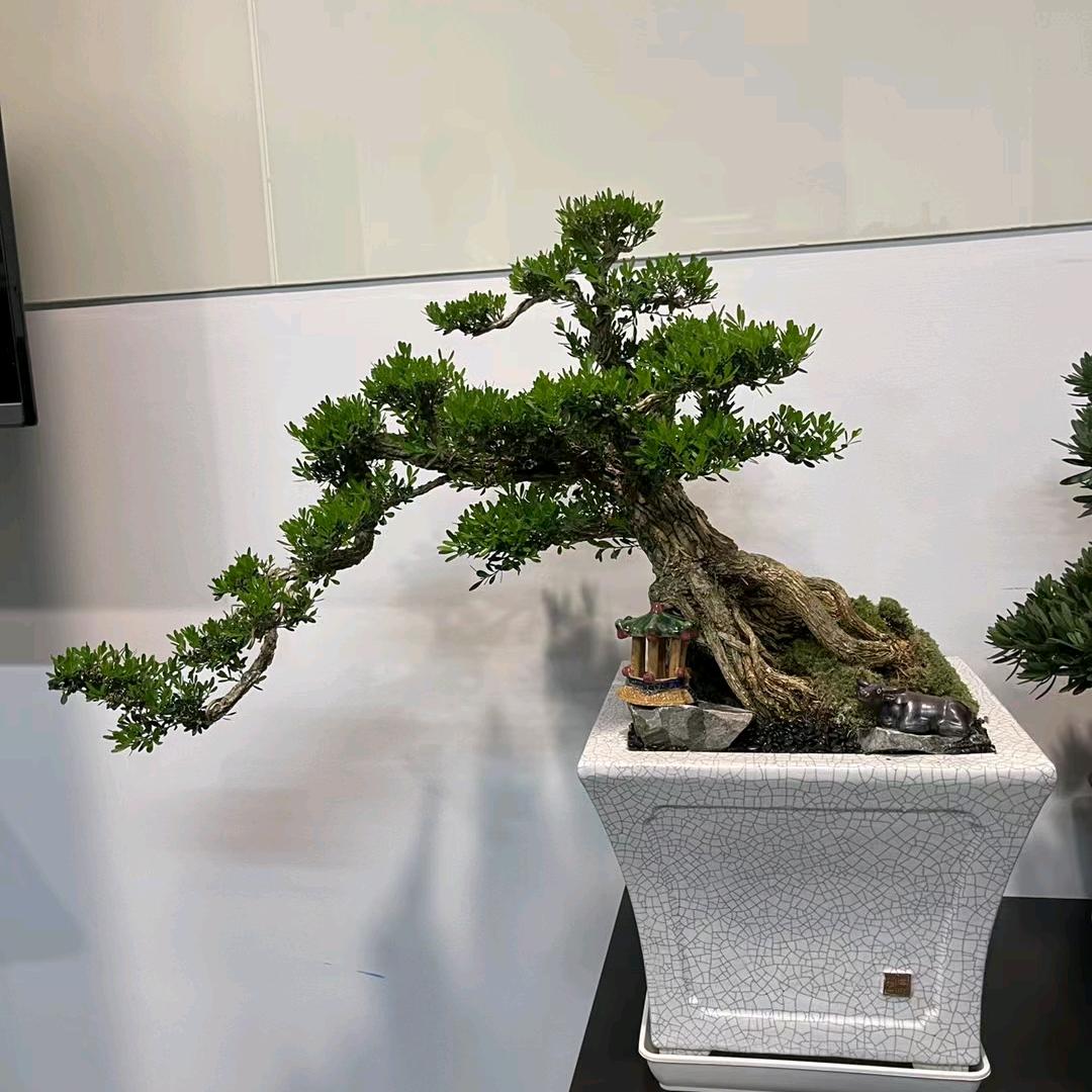 万事可乐