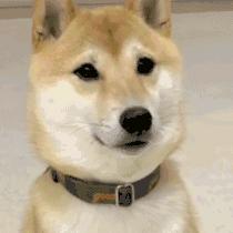 换个风格吧