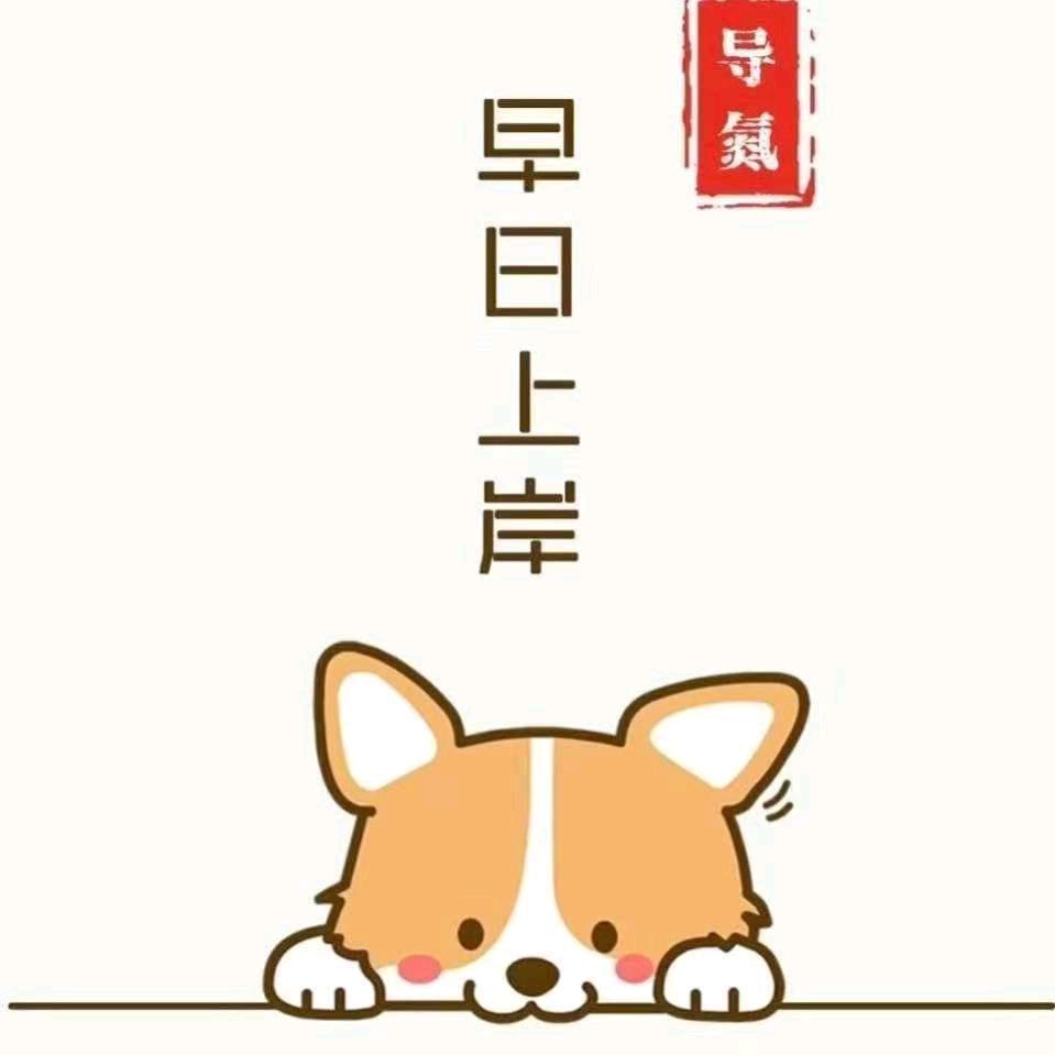 南阳导氮李老师