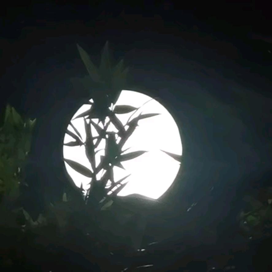 刘森焱