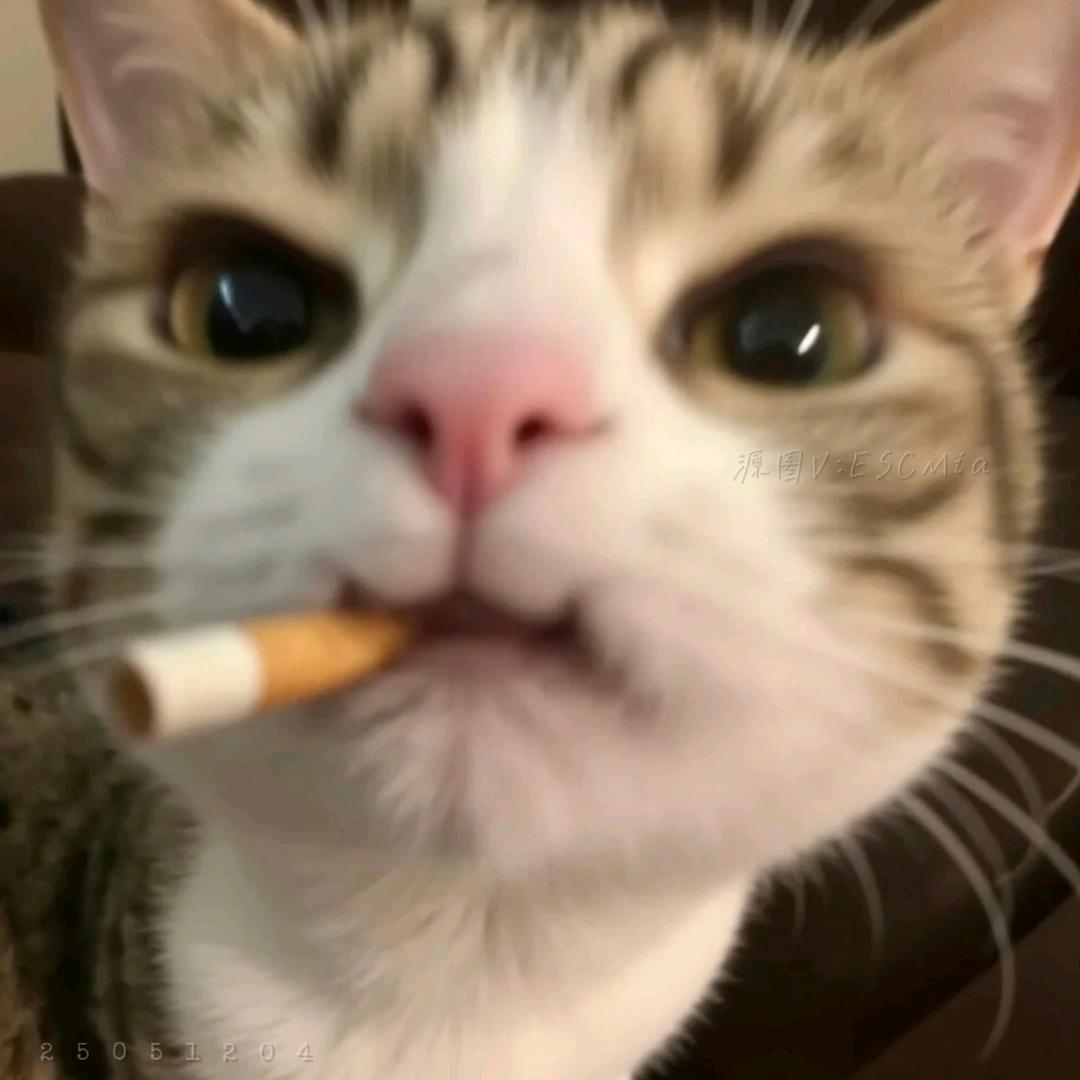 糠糖搞笑