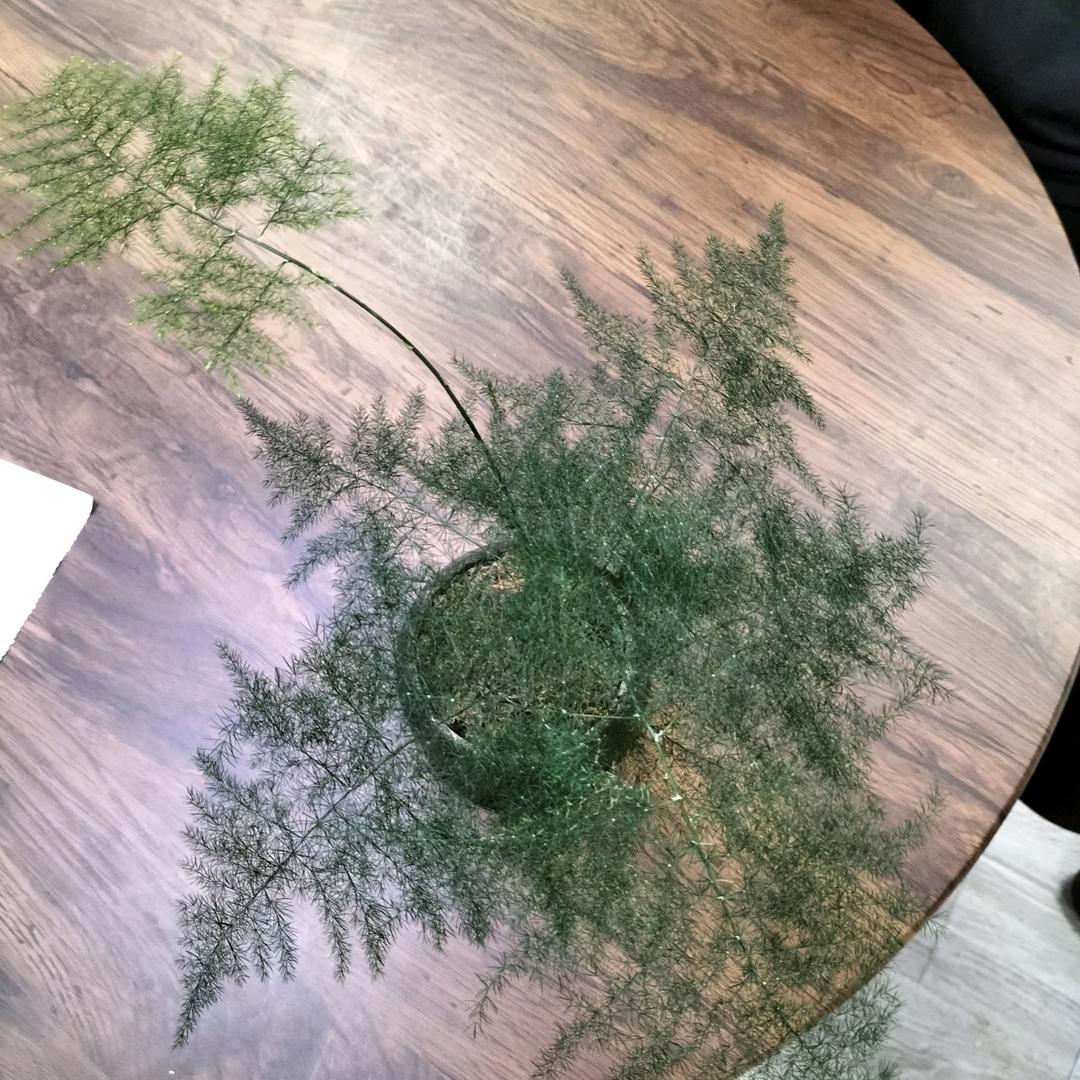 平平淡淡