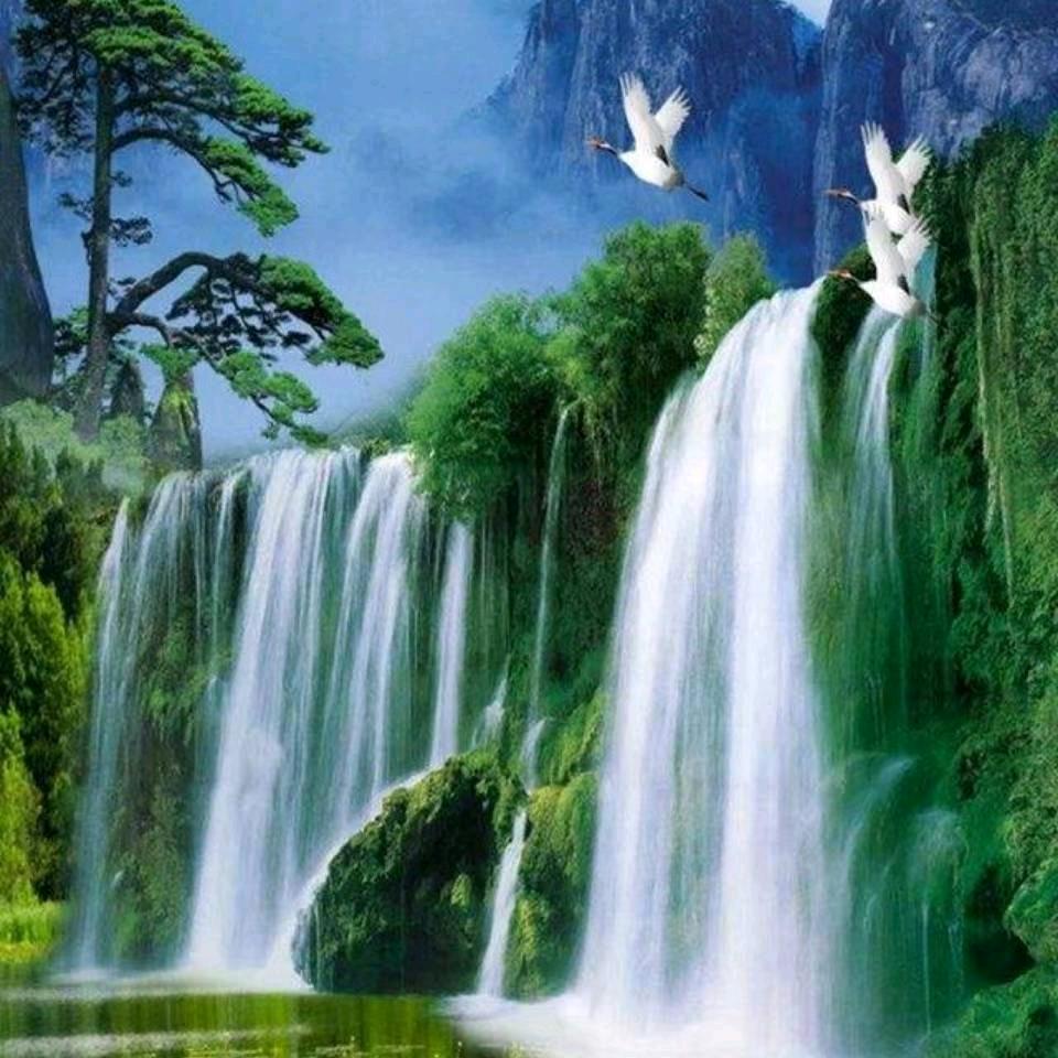 @鲁F嫁鲁K的小姐姐