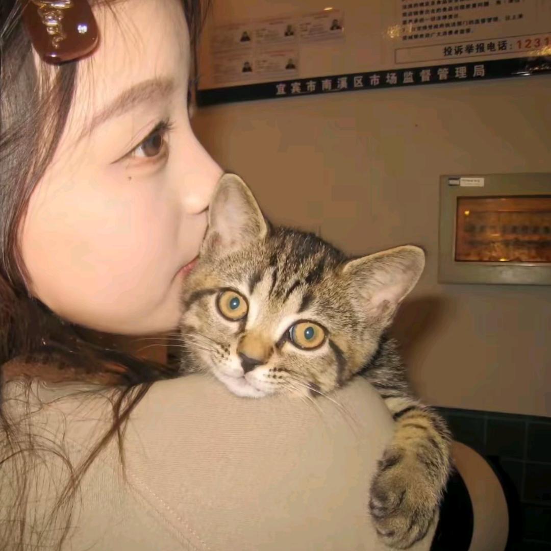 托尼不带水.