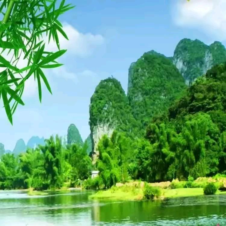 青山绿水NPC1996
