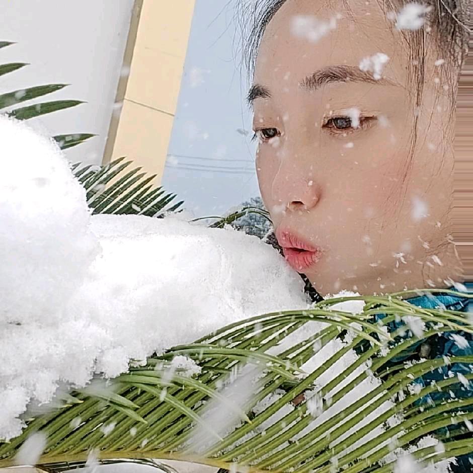 木芯卷玉尘