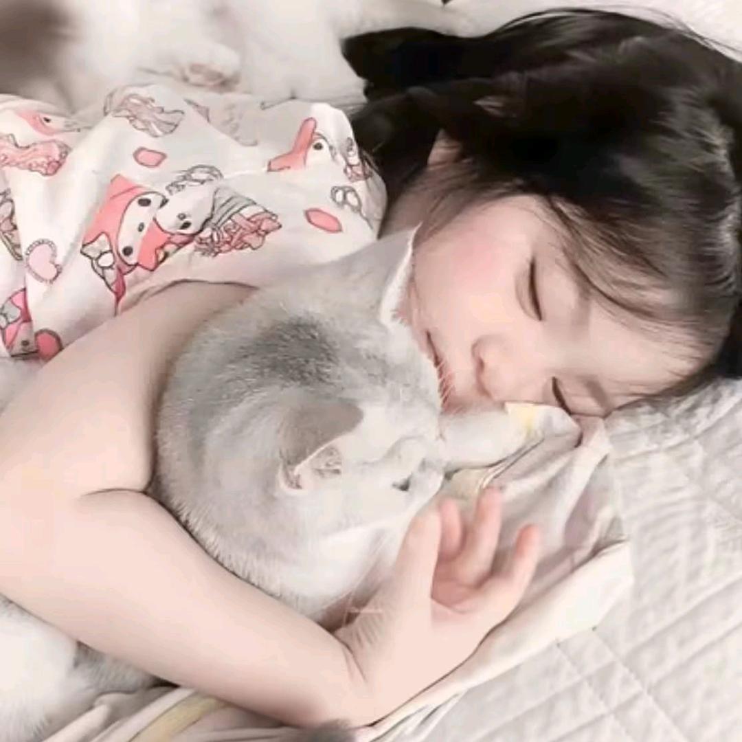 碎碎头像