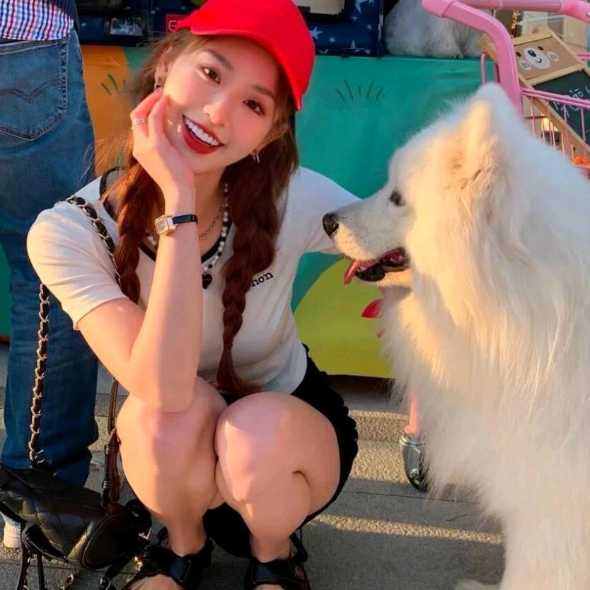 🌈兔子啃月亮