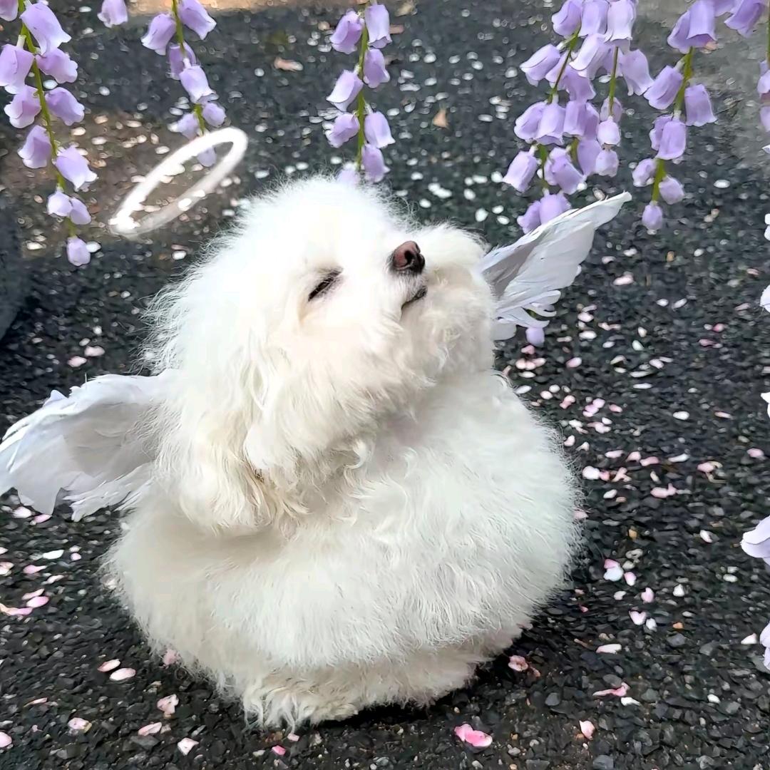 荔枝盐盐盐盐盐