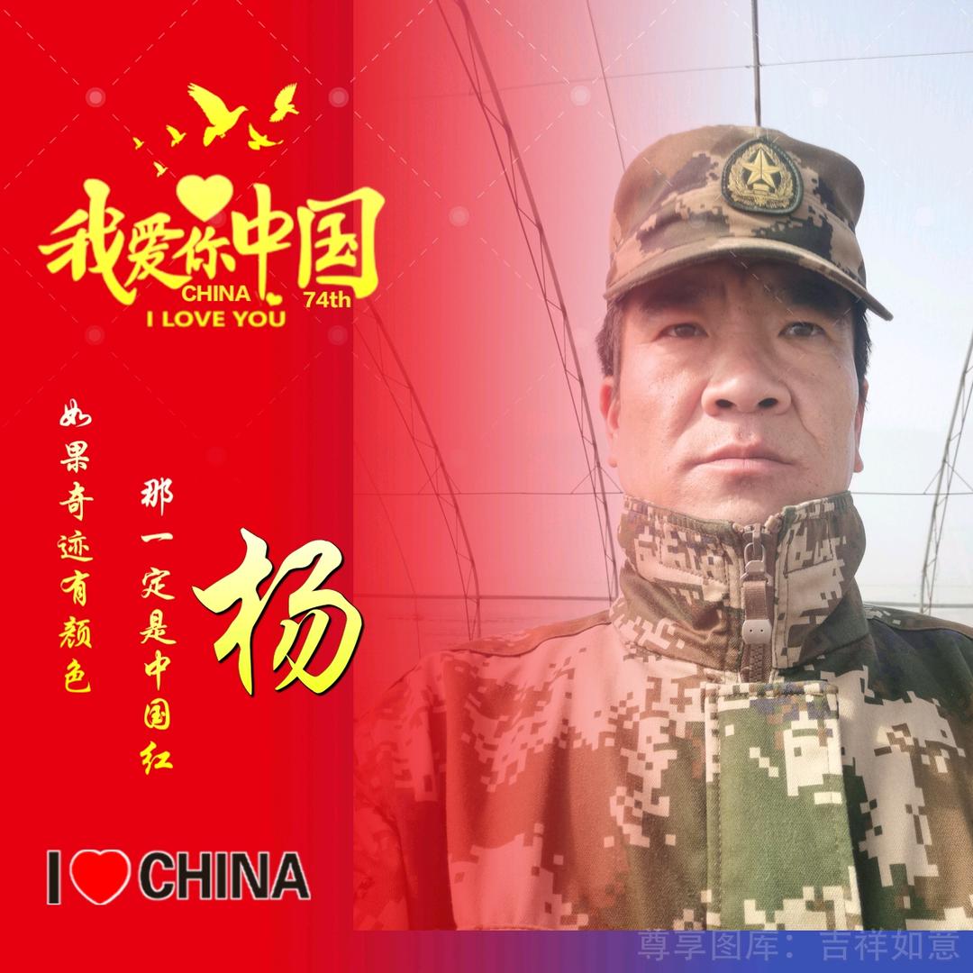 杨哥