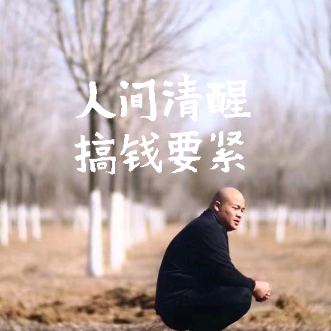 法桐，白蜡，基地