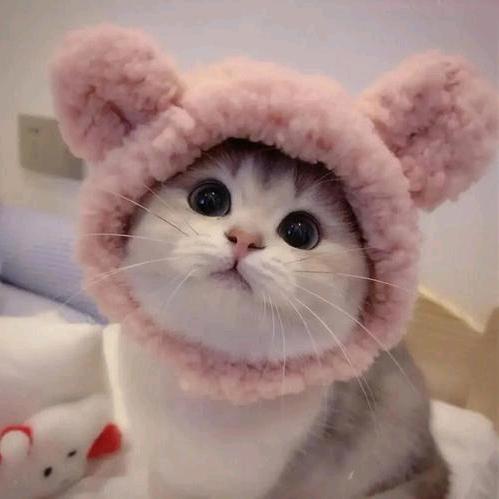 小萍