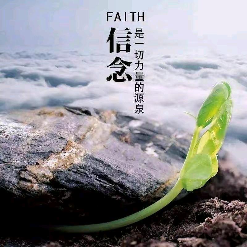 💫💫星橙💫💫