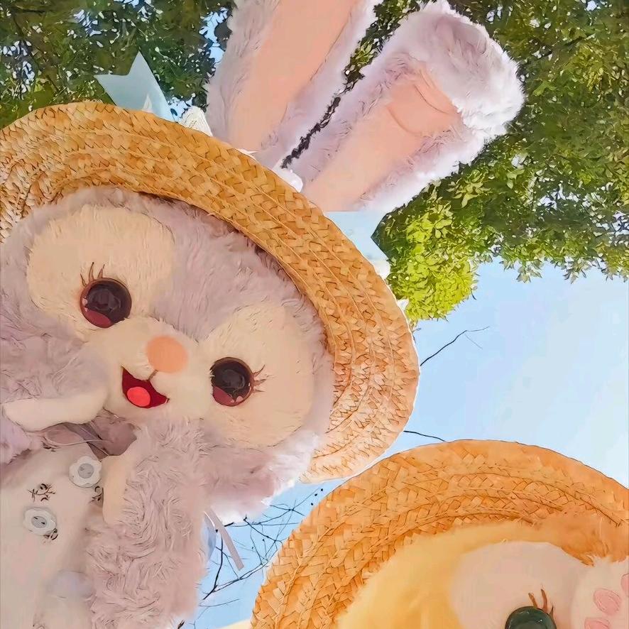 小丑鱼
