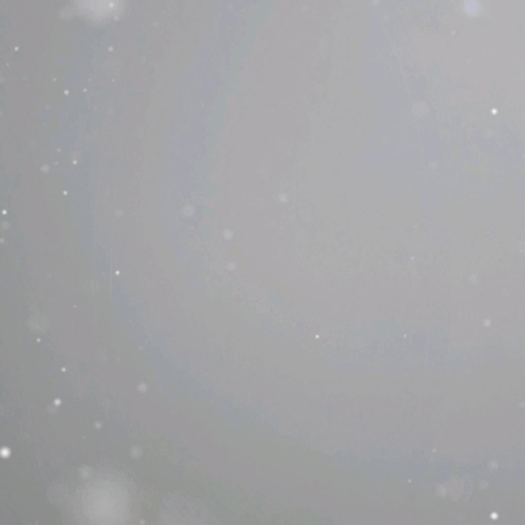 骏马奔腾“2026”马年大吉大利