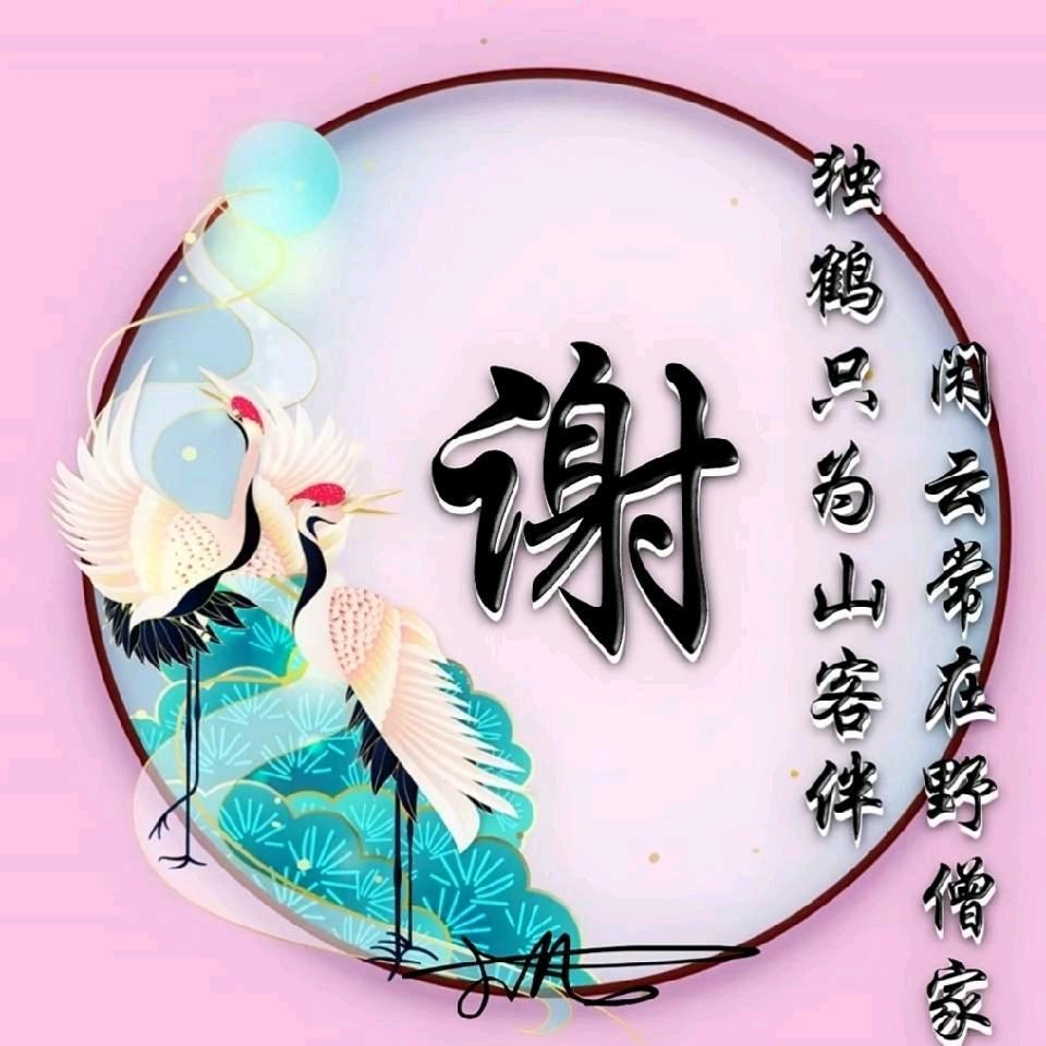 门窗+定制