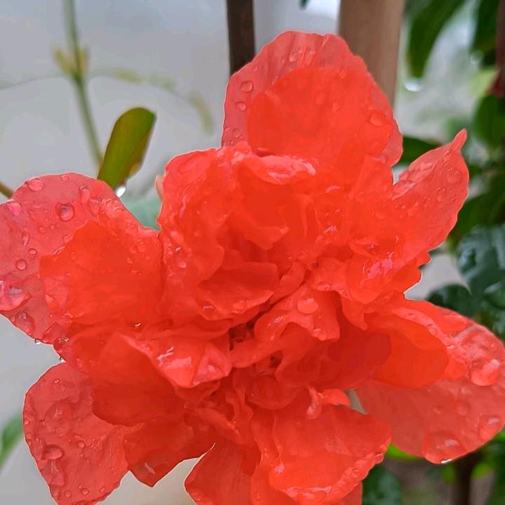💞过好每一天💞