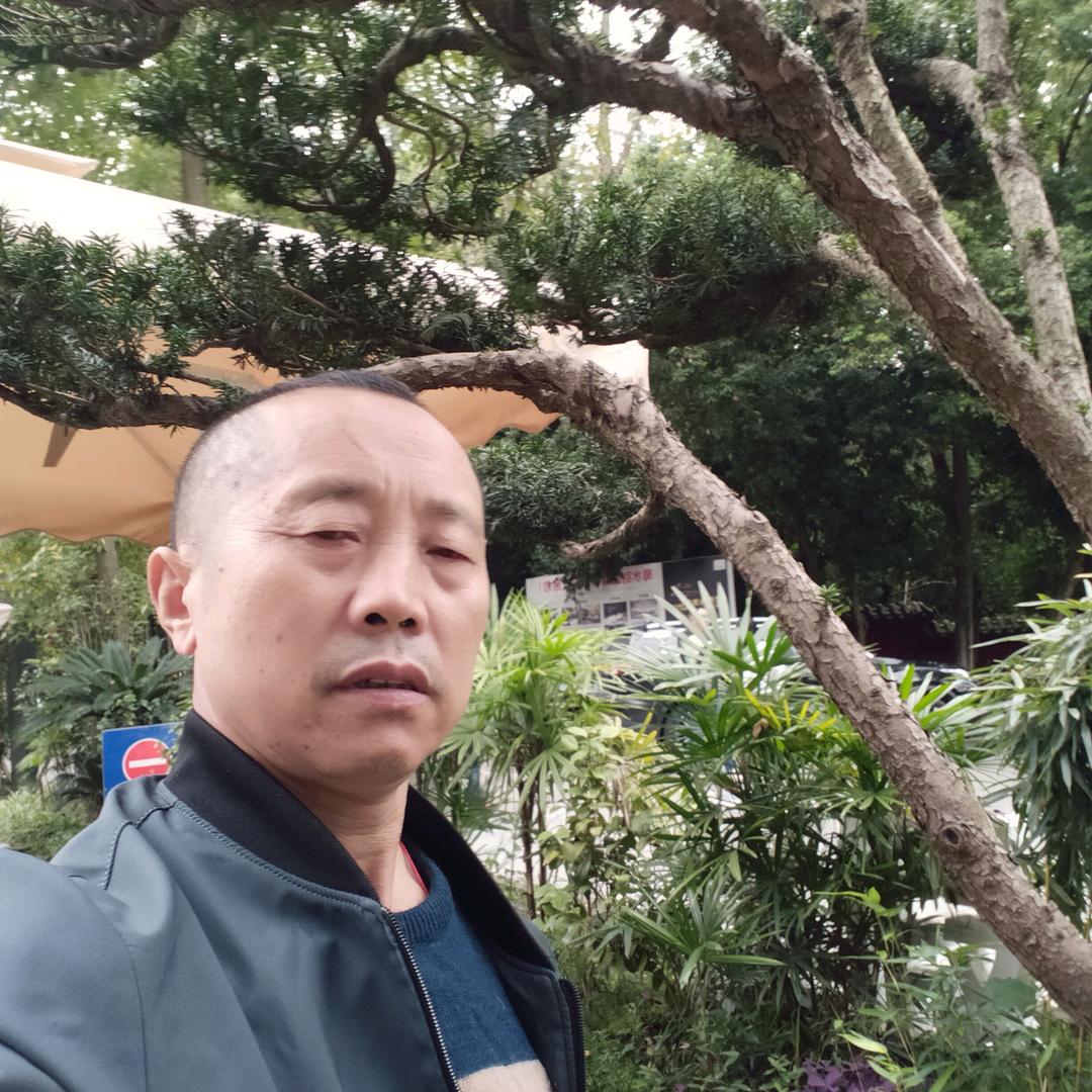 善心哥