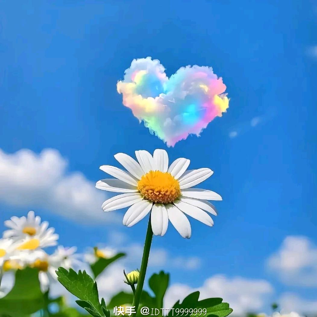 @ღ心᭄ꦿ꯭己ঞৣঁ打烊ꦿ᭄