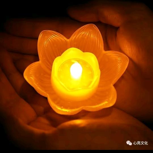 杰仔很芒