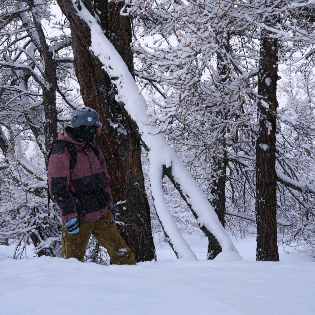 Derick🇨🇦单板滑雪