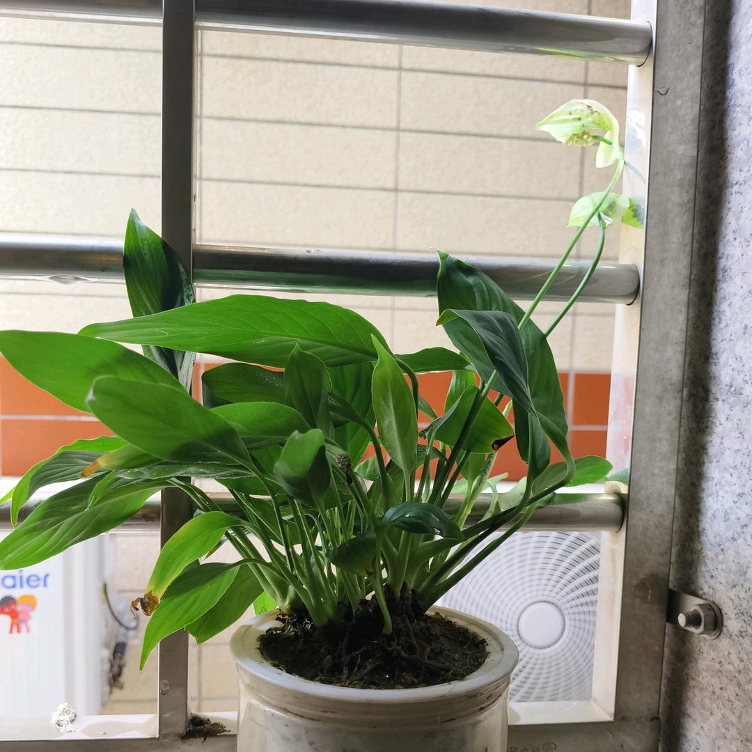 正在加载…………