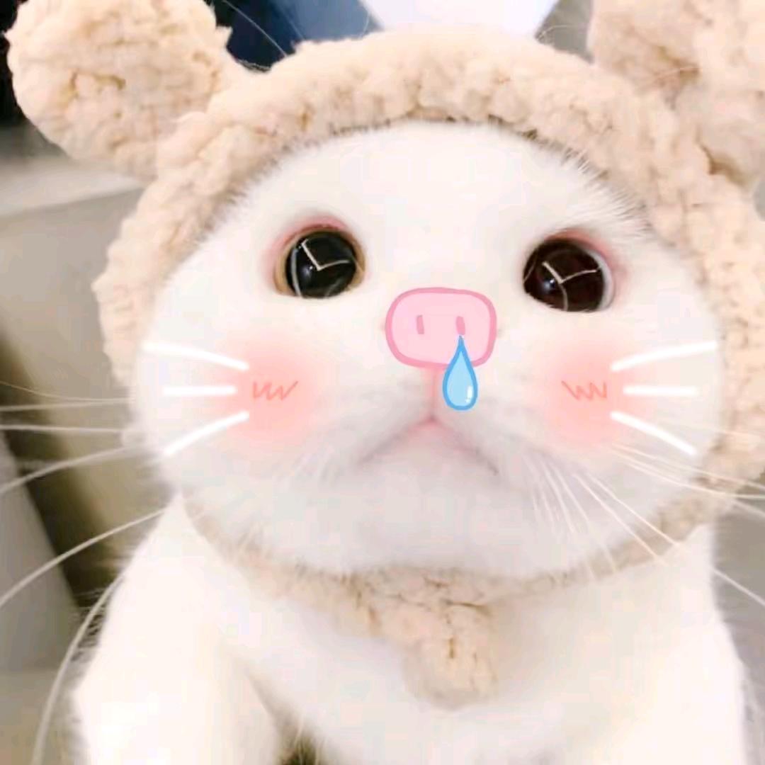 .按时睡午觉