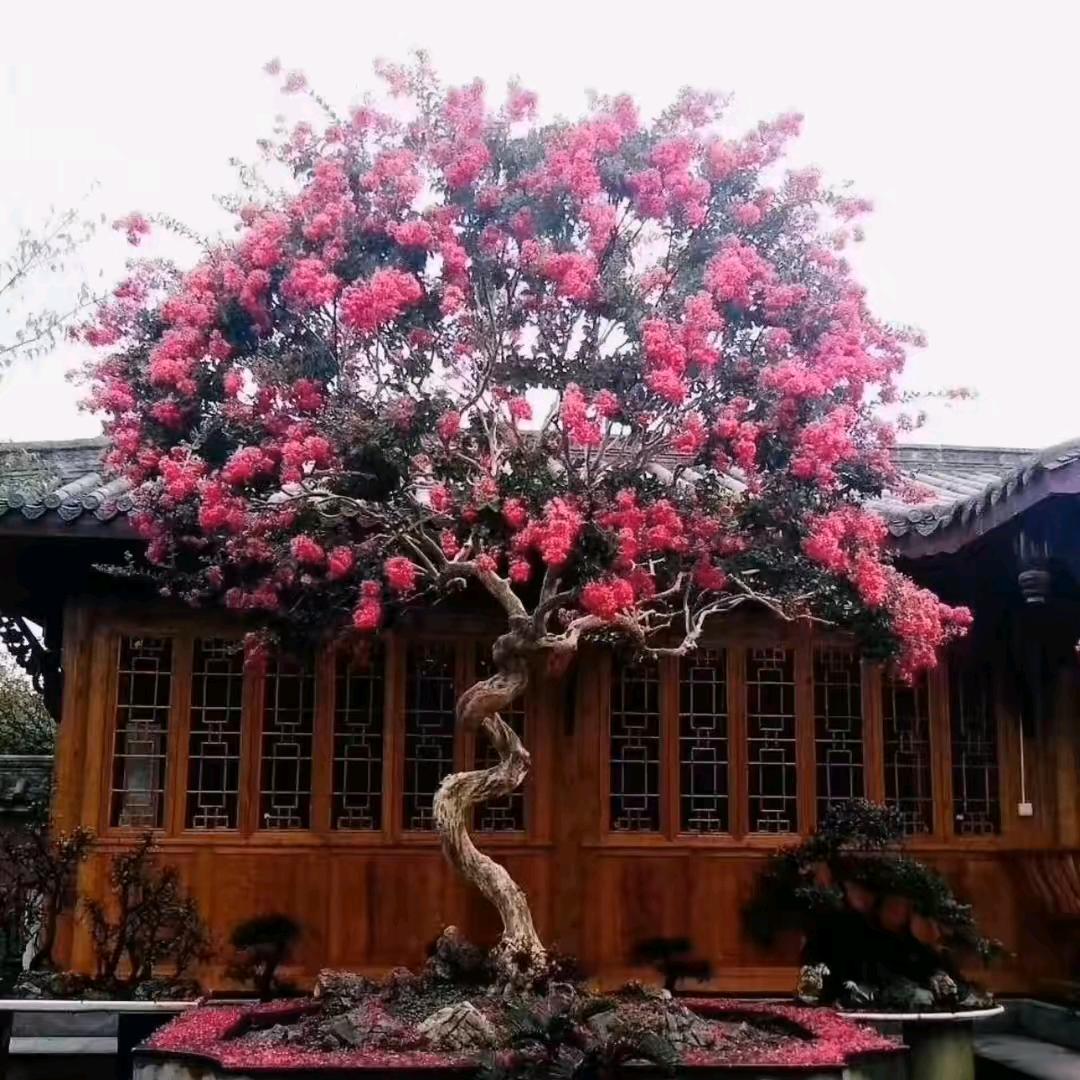 浙江茂泰园林绿化工程有限公司