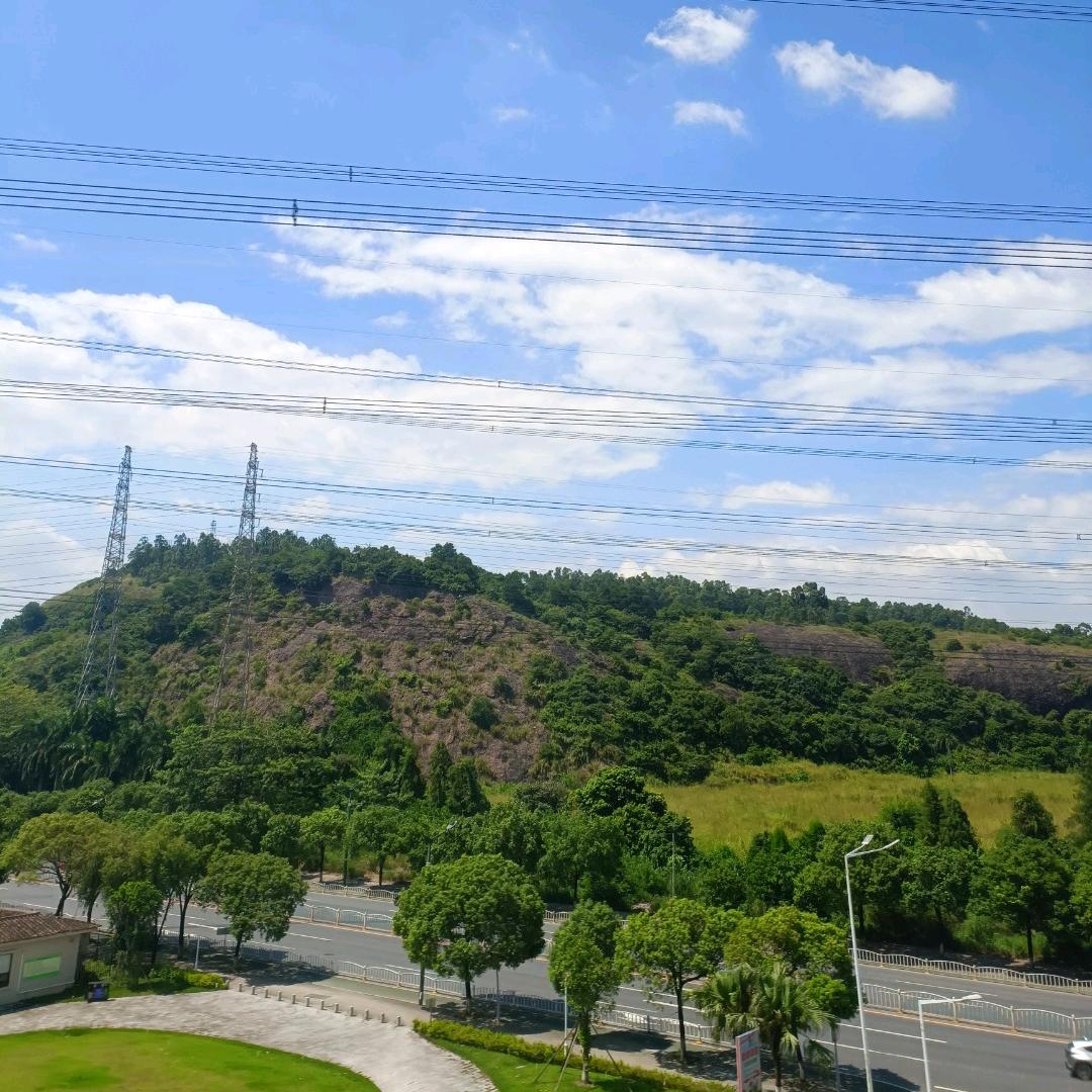 太阳🌞